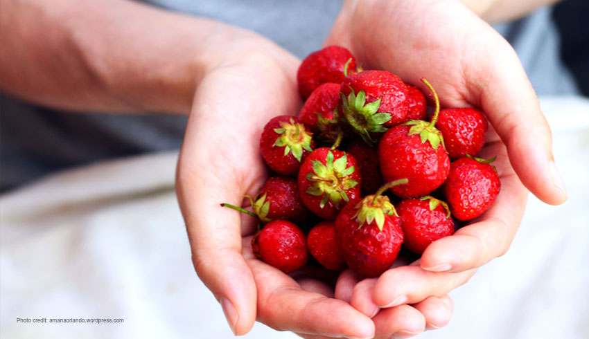 The Ultimate Guide To Summer Berries